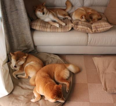 史上最具影响力欧冠比赛分析，欧冠最牛比赛