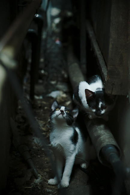 史上最具影响力欧冠比赛分析，欧冠最牛比赛