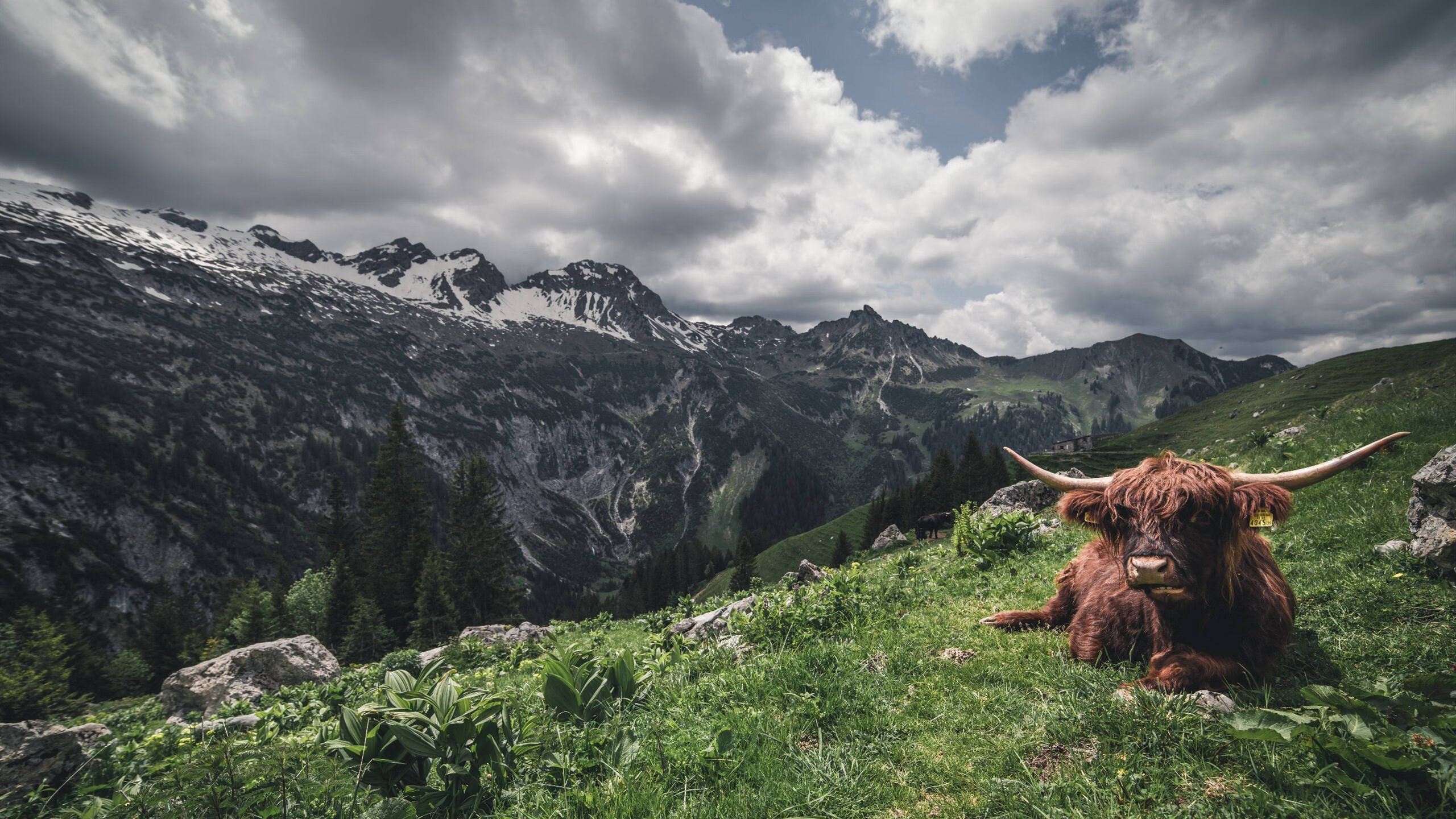 爱游戏app-_年度总结赛：回顾最精彩、最难忘的比赛瞬间_，年度比赛总结怎么写